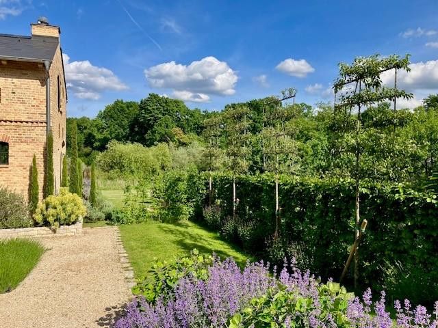 Blick in den Garten