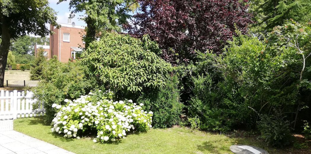 Stilvolles Einfamilienhaus mit großem Grundstück und vielseitigen Nutzungsmöglichkeiten – Unterirdischer Gastank
