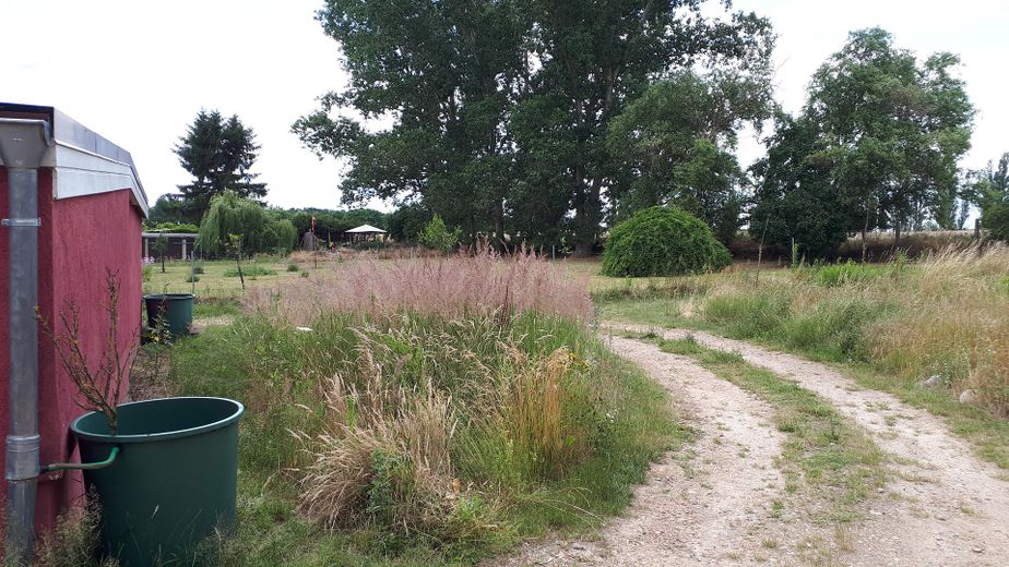 Grundstücksflächen hinten