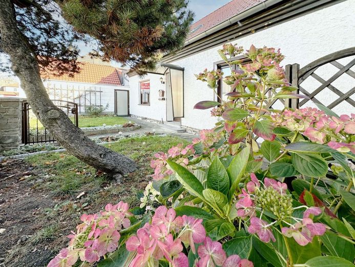 Behagliches Einfamilienhaus mit Balkon, Kamin &amp; Nebengebäude - perfekt für ruhiges, zentrales Wohnen – Gartenanischt