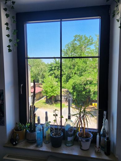 Light-filled old building apartment (5 rooms) by the city park - 4 spacious bedrooms and separate living room – Blick aus Zimmer 3