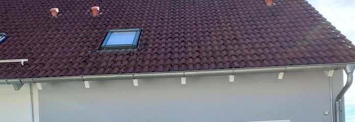 Doppelhaushälfte mit Carport – Hausansicht Eingang