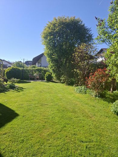 Blick in den Garten