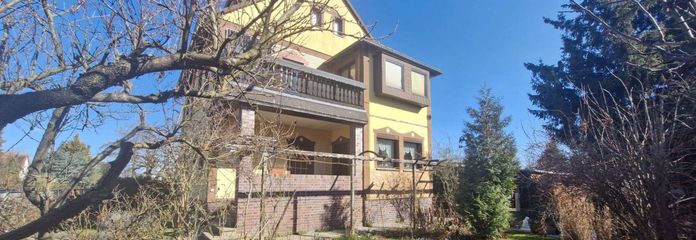 seitlicher Blick vom Garten auf das Haus