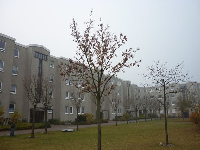 Ohne Provision: Verk. Wohnung 2 Zi. Kü, Bad, PKW-Stellplatz – Foto 1