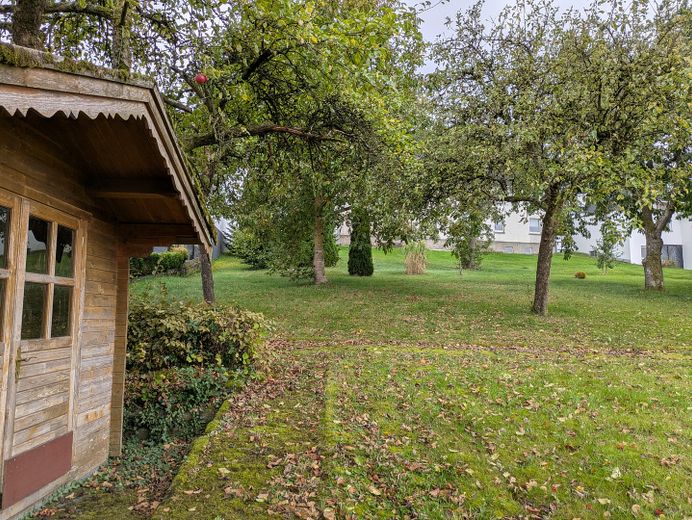 Garten mit Obstbäumen