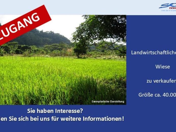 Großzügige Landwirtschaftsfläche / Wiese in Königsmoos, evtl. Ausgleichsfläche oder PV - Ein Objekt von SOWA Immobilien & Finanzen Ihrem Immobilienprofi vor Ort – Foto 1