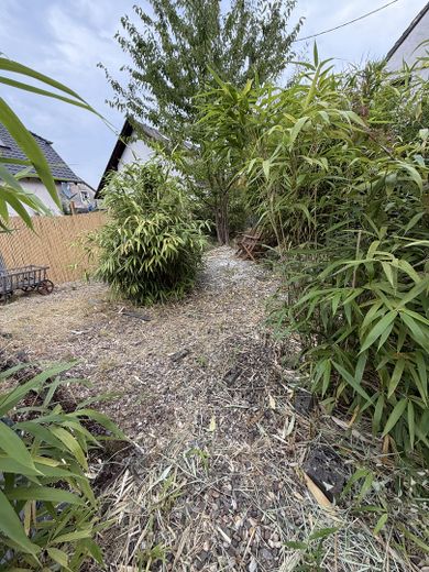 Da privato: casa con cuore cerca nuovi proprietari incluso terreno edificabile – Foto 14