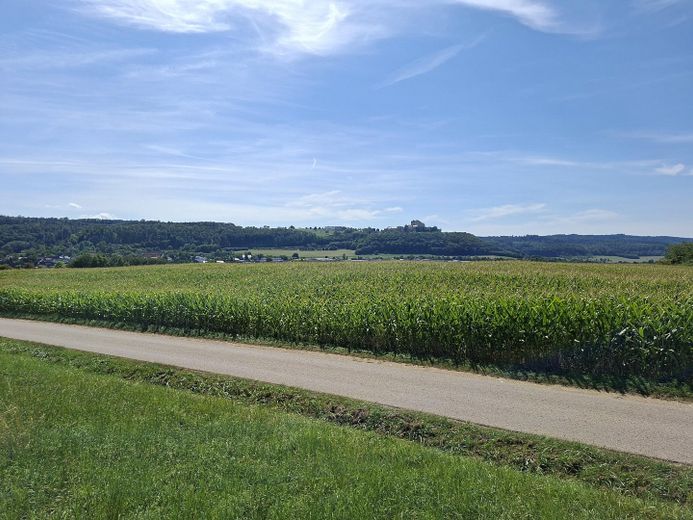 Ackerland