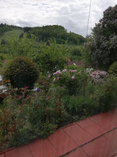 Charmantes Einfamilienhaus in idyllischer Lage, provisionsfrei ! – Terrassenrand mit Garten