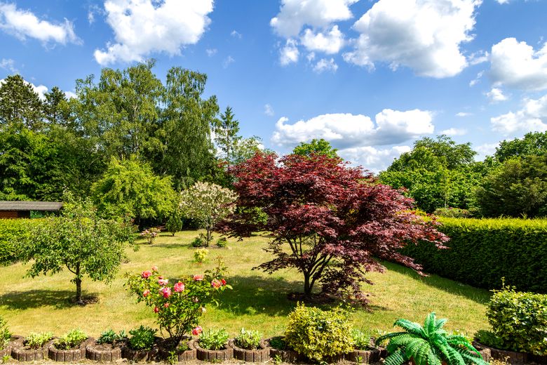 Blick in den Garten vom Balkon