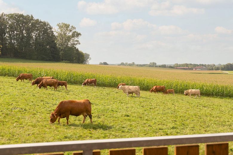 Aussicht Süden