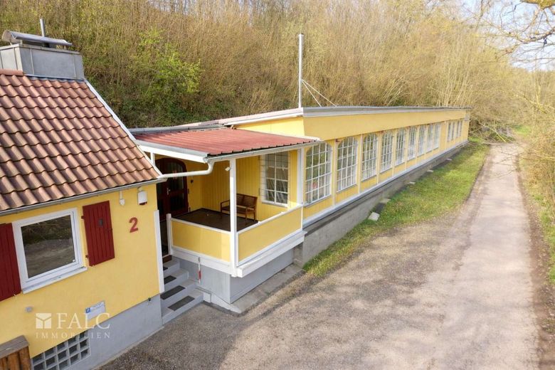 Einzigartige Immobilie - Naturnah Wohnen und Arbeiten am Neckar – Außen Halle