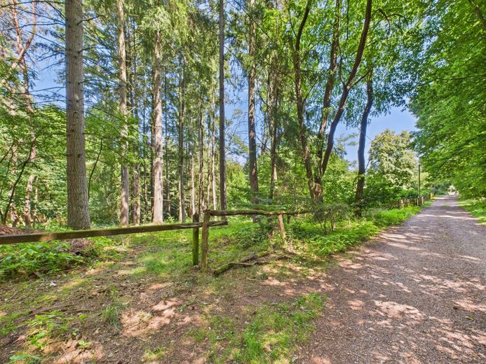 Wochenendgrundstück in traumhafter Lage - Verstecktes Paradies für Ruhesuchende! – Bild 2