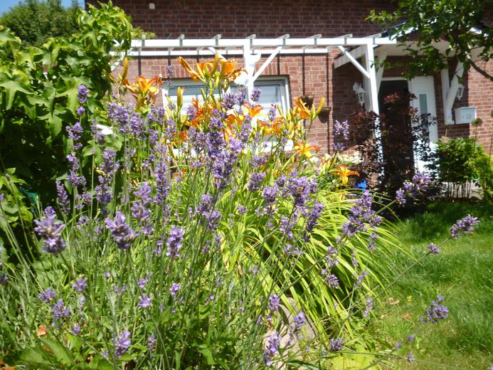 Gartenansicht