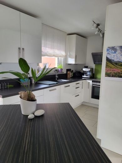 Bild 15
