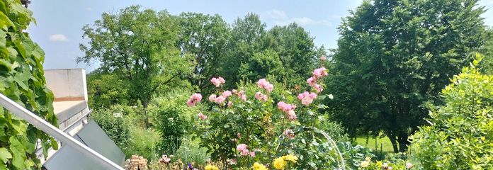 Blumen und mehr ...