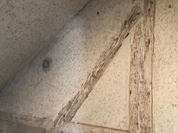 Casa plurifamiliare, immobile per vacanze nella Svizzera Sassone Bad Schandau in vendita! – Foto 6