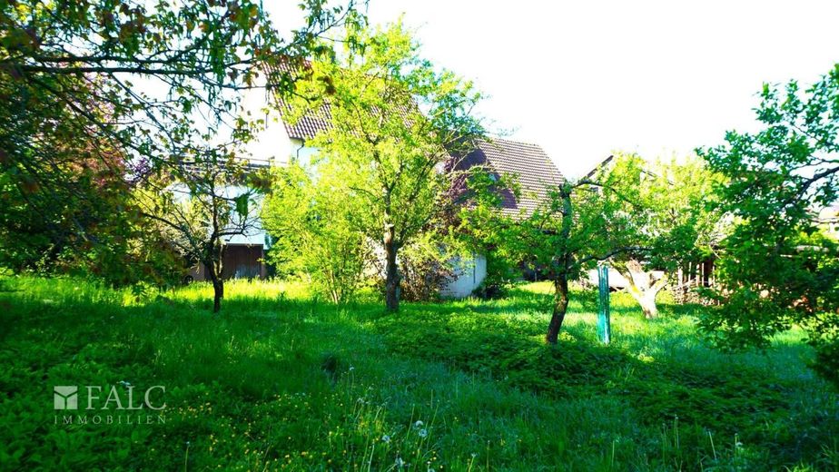 *BAUPLATZ* XXL-Grundstück zum Bebauen in Obersulm-Eichelberg! - FALC Immobilien Heilbronn – Hier wird gebaut!