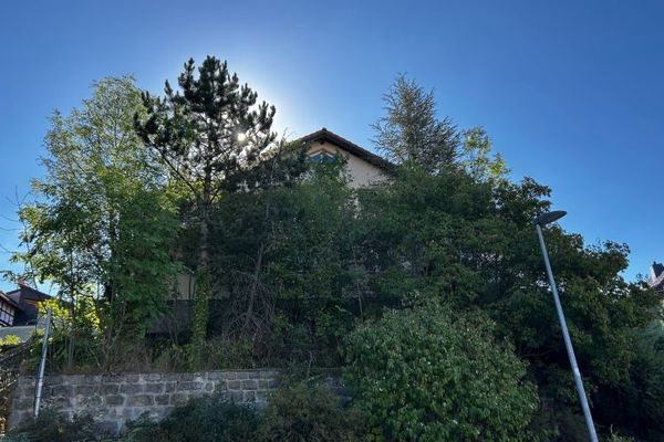 *** Vielseitiges Mehrfamilienhaus mit vier Wohneinheiten – Wohnen, Vermieten oder Mehrgenerationen
