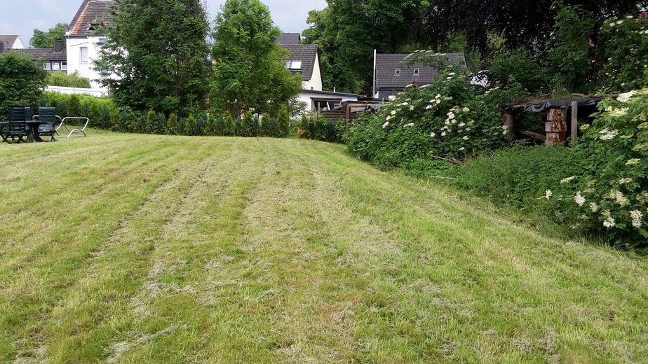 Teilstück vom Garten