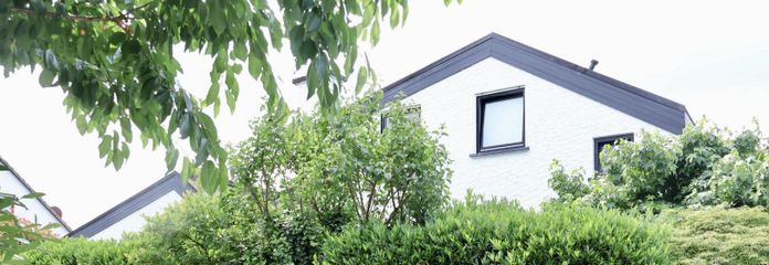 Seitenansicht