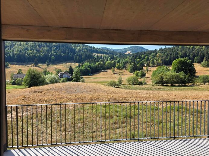 Erstbezug: 101m² Neubau mit Einbauküche, Haustiere willkommen, Balkon, 2 Stellplätze – Foto 11