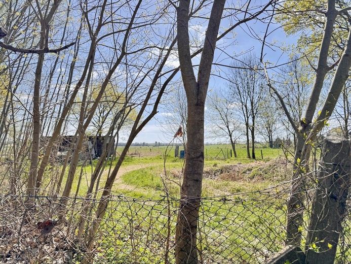 HORN IMMOBILIEN ++ Einfamilienhaus ruhige Lage bei Pasewalk – Nachbarschaft