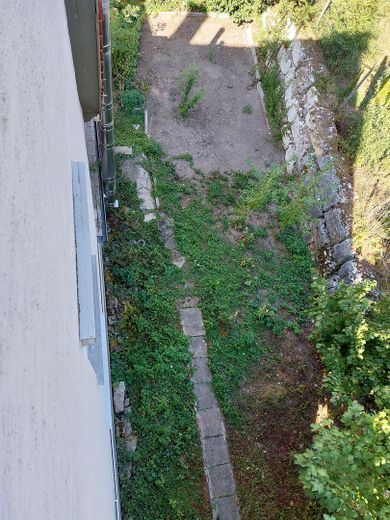 1-2-Familienhaus – Blick auf Garten hinterm Haus