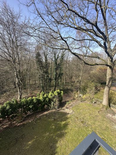 Schöne Sanierte 3-Zimmer Wohnung am Waldrand von Dellwig – Balkon Blick Winter