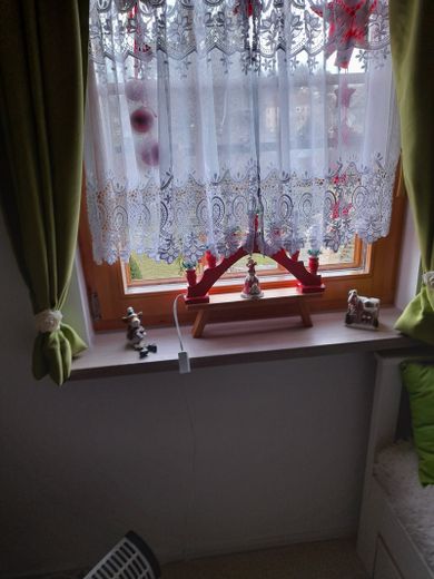 Lichtentanne, Grdst. + Bungalow – Foto 11