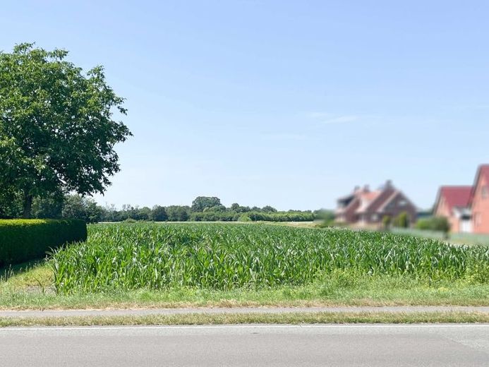 Grundstücke am Ortsrand von Lingen -Ortsteil Clusorth-Bramhar – Foto 1