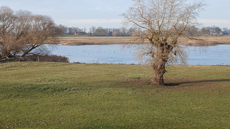Einfamilienhaus in traumhaft idyllischer Lage an der Elbe – Foto 22