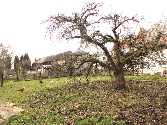 PREISREDUZIERT! Familienanwesen am Ortsrand mit Hof, Werkstatt, 2 Garagen und 1.780 m² Grundstück – Gartenausschnitt III