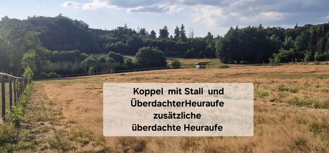 Landhaus Generationenhof mit bis zu 10 ha Land und Bachlauf – Koppeln arrondiert