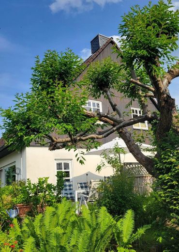 Blick vom Garten auf das Haus