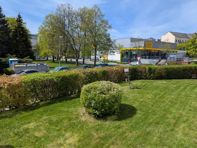 Małe, przestronne mieszkanie w pobliżu Schlossteich - dzielnica Schloßchemnitz – Blick aus dem Wohnbereich