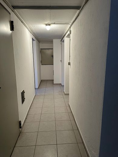 Einfamilienhaus mit separater Wohnung im 1. OG – Foto 17