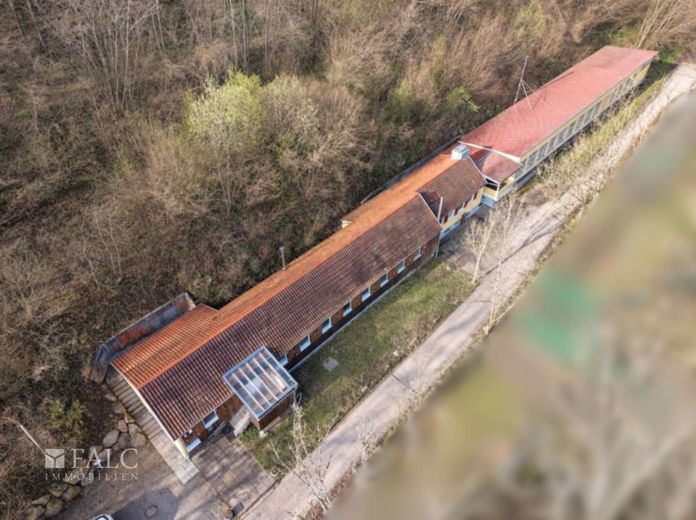 Einzigartige Immobilie - Naturnah Wohnen und Arbeiten am Neckar – Luftbild