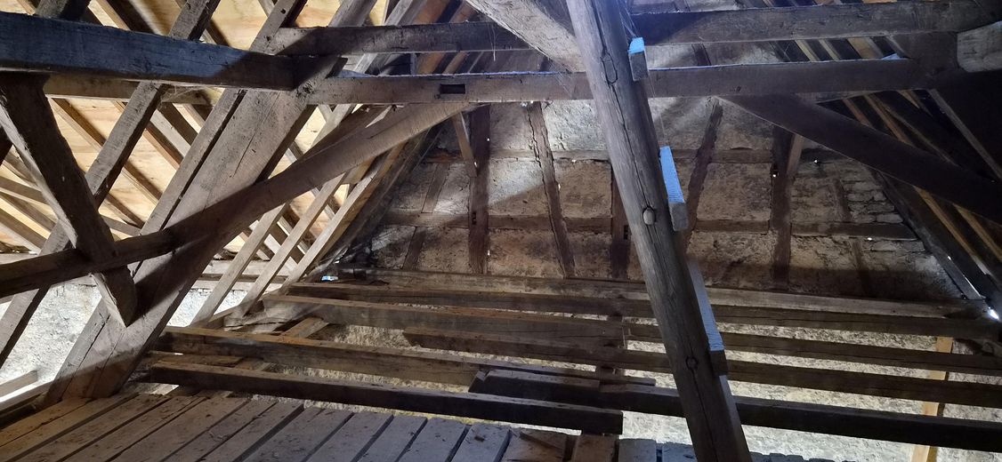 Sanierungsprojekt mit Geschichte: Raum für Ihre Wohnträume & Werkstatt in 67591 Wachenheim – Foto 8