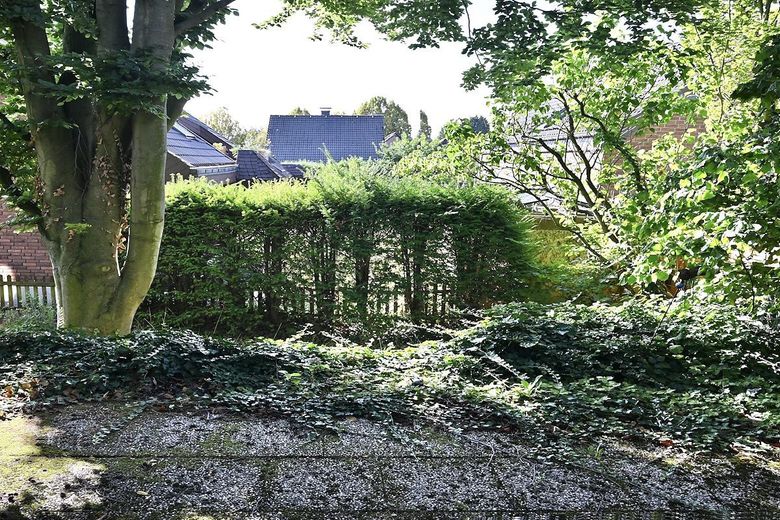 Blick von der Terrasse