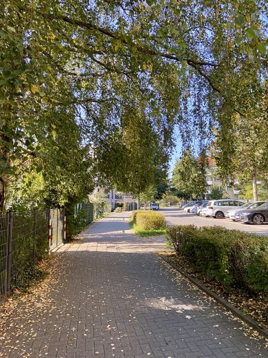 Straße Viehtrift Foto 1