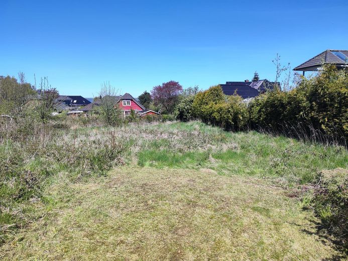 Küstenglück - große Baulücke in Westerholz nahe der Außenförde – Blick Richtung Ostsee