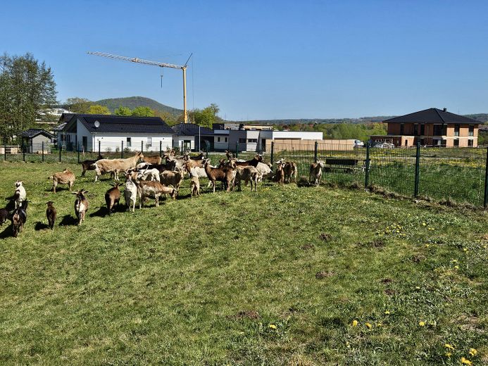 Baugrundstücke im Neubaugebiet Offenbergblick! Keine Provision! Kein Bauzwang! – Mitten in der Natur