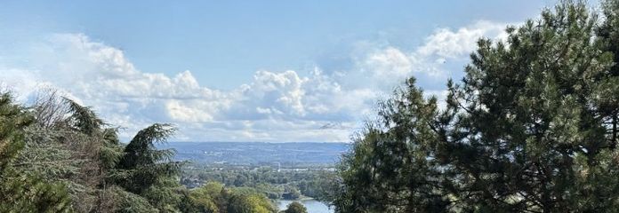 Ihr Rheinblick 2