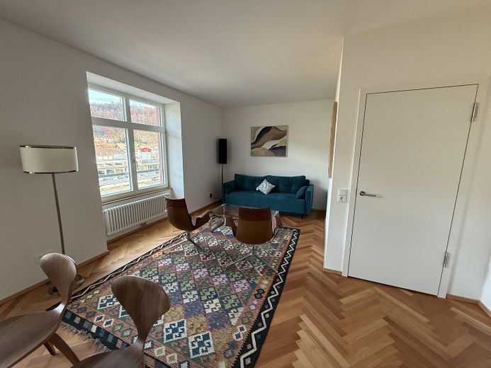 Möbliertes Luxus-Wohnen im LöwenBau - E3-W06, 2 Zi, 54 m² - 1.700 € FLAT – Wohnzimmer