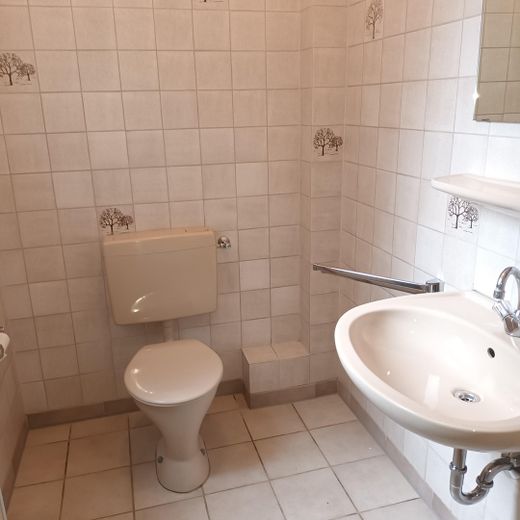 Gewerbehalle, Lagerhalle, Halle 760m² und Büro / Sozialräume 100m²  (O-H-S 34) – WC Halle