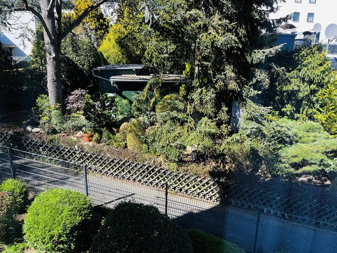 Fenster mit Blick ins Grüne