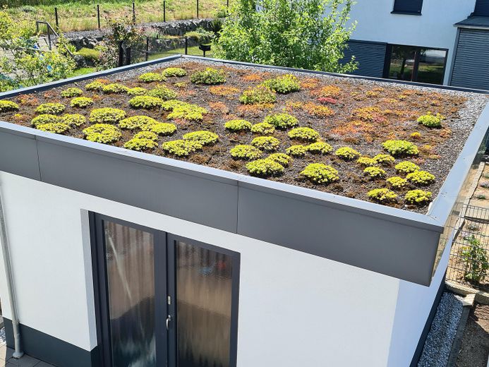 Gründach vom Gartenhaus