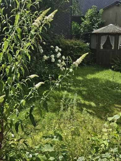 Teil Garten mit Gartenhüttchen